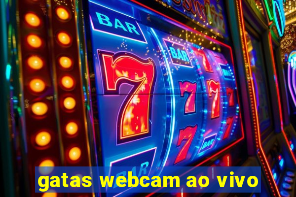 gatas webcam ao vivo